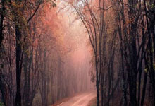 卡塔尔vs伊朗，这场对决有哪些看点和关键因素？