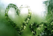 杜海勒足球俱乐部是怎样的存在？